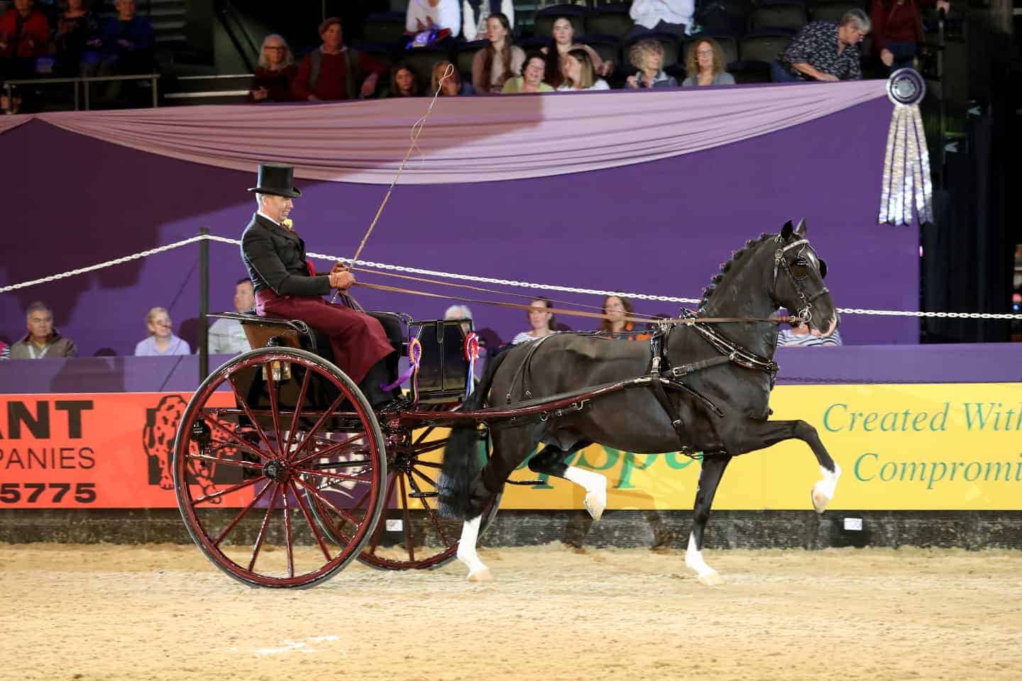 News The Horse of the Year Show
