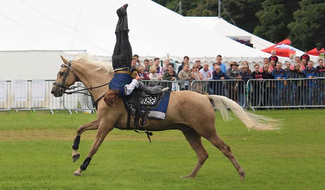 Excitement builds for this year’s Horse of the Year Show Horse of the