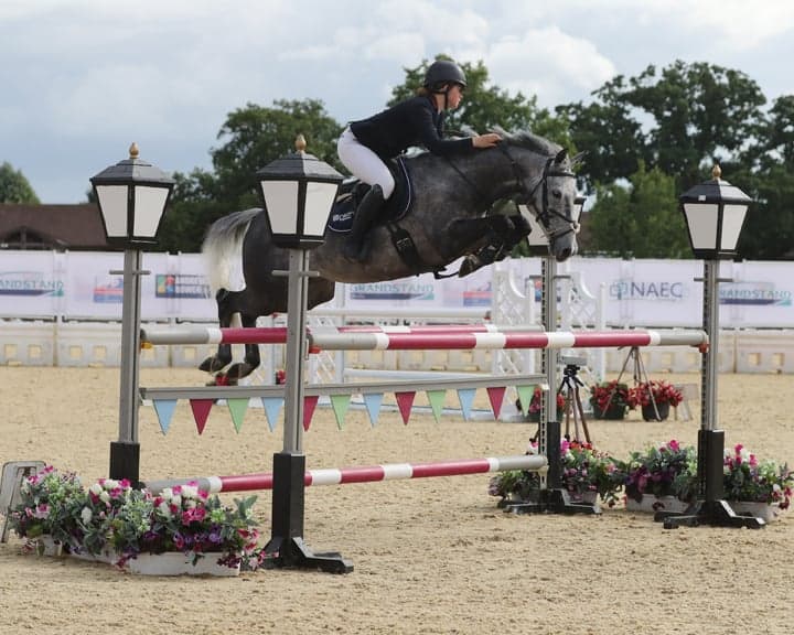 A trip to the British Showjumping National Championships Horse of the