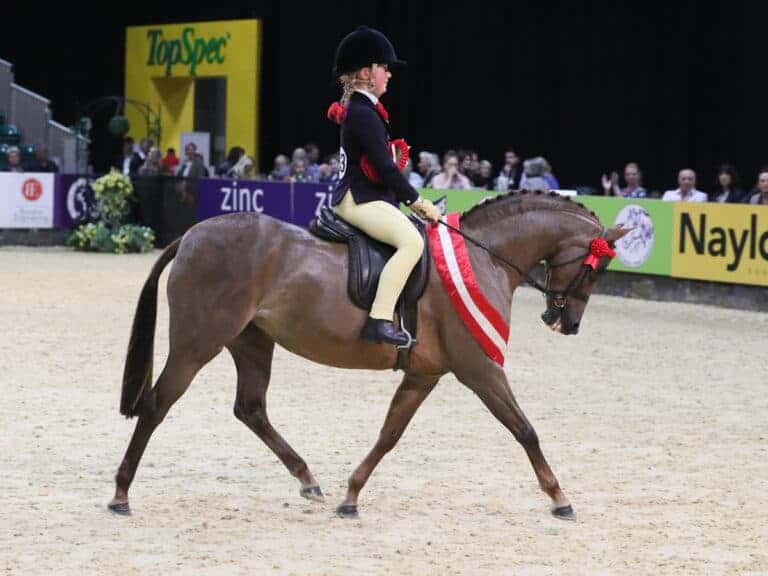 Woodview ShangriLa is victorious in The Price Family Mini Show Pony of