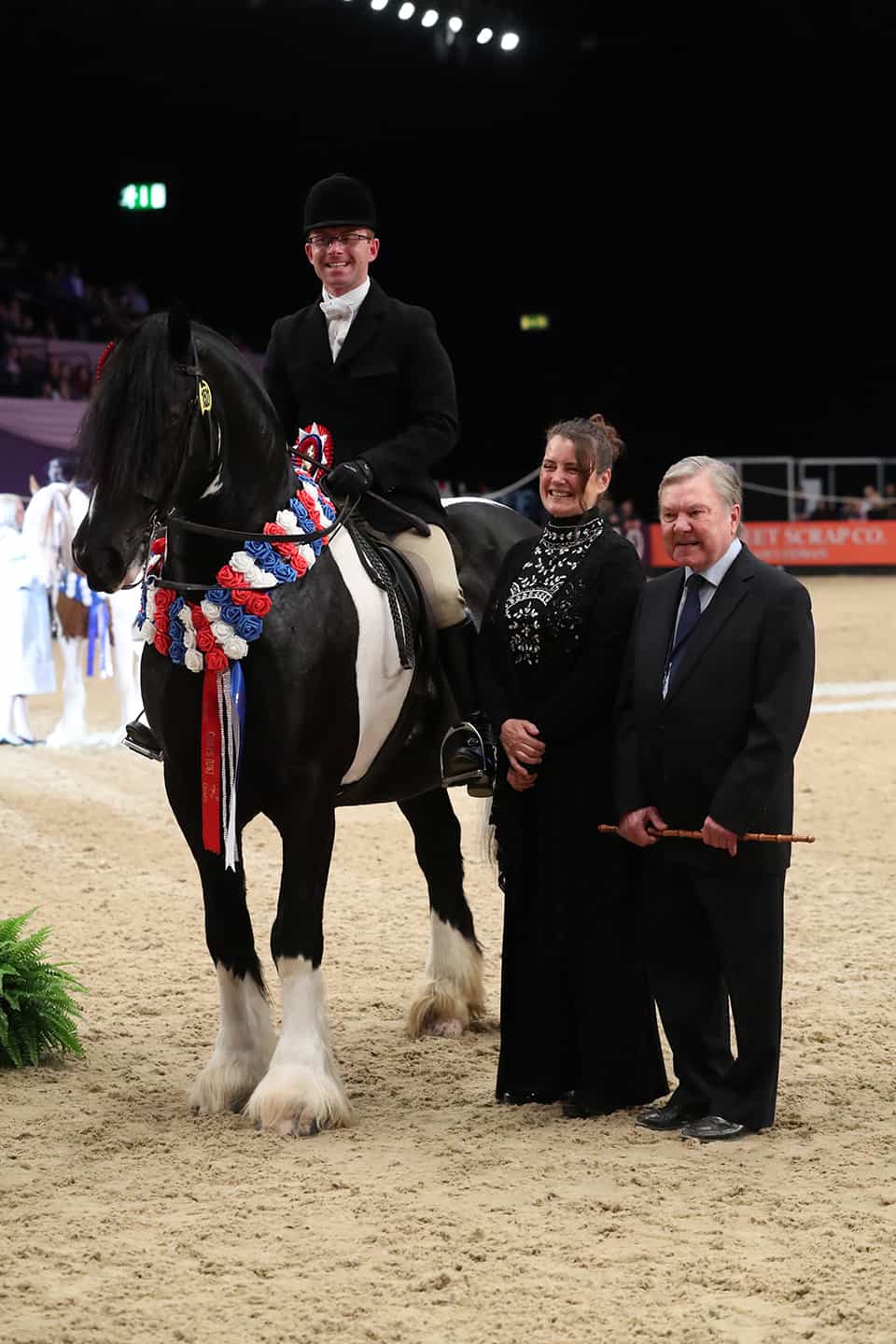The Magpie clears up in the Coloured Horse and Pony of the Year Championship Sponsored by CHAPS