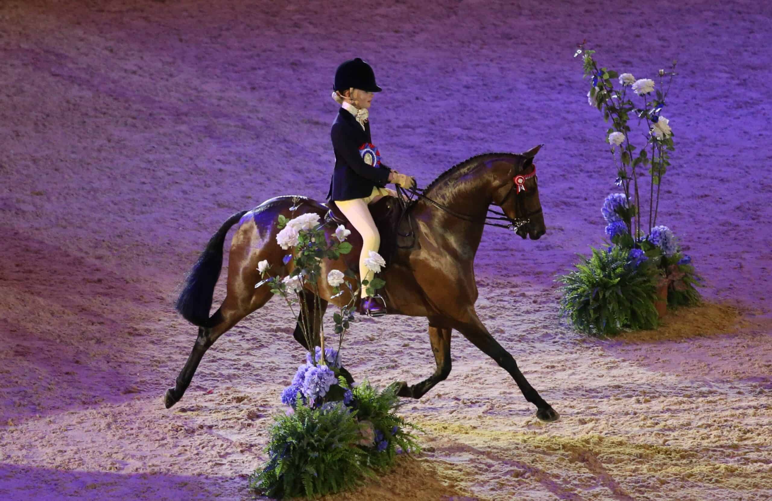 ENTRIES now open for Horse of the Year Show Horse of the Year Show