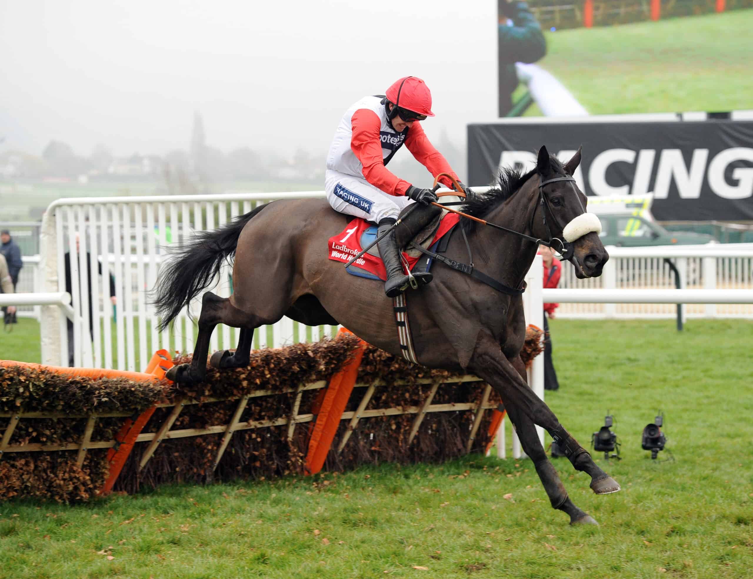Big Bucks at World Hurdle. Image by Martin Applegate