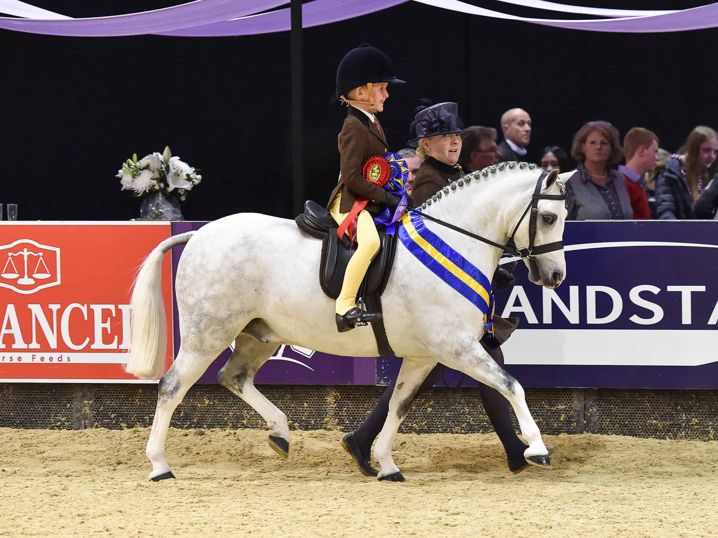 Showing wins the Bryony Gribbin of Vale Farms Ltd. Lead Rein