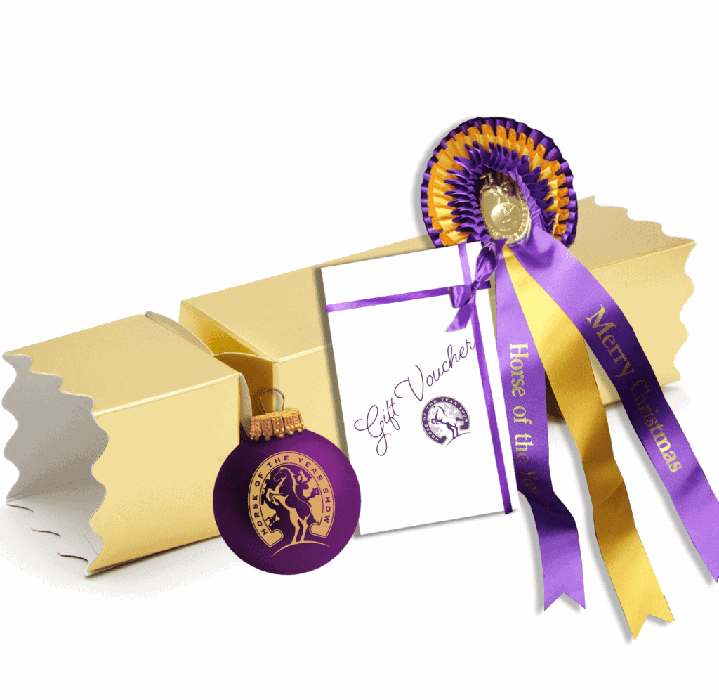 HOYS Christmas Gift Cracker