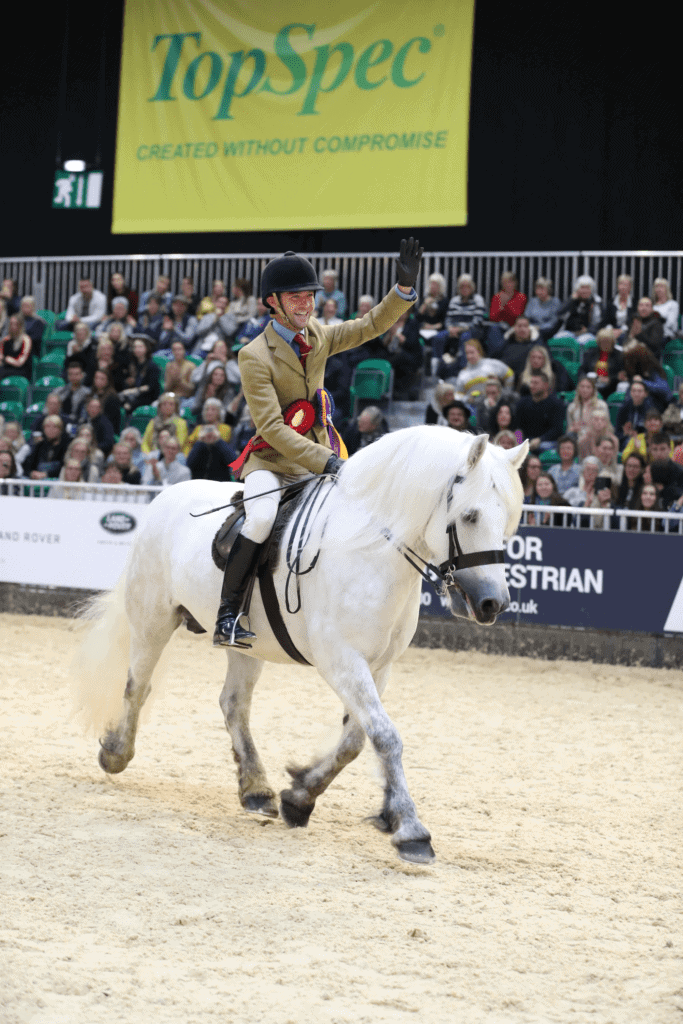 HOYS Showing Qualifiers