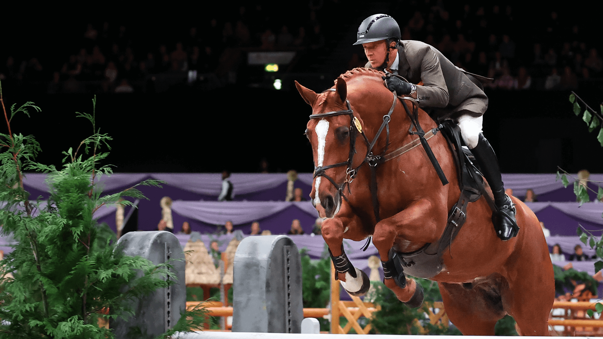 Westown Stud joins TEAMHOYS as new Working Hunter Championship