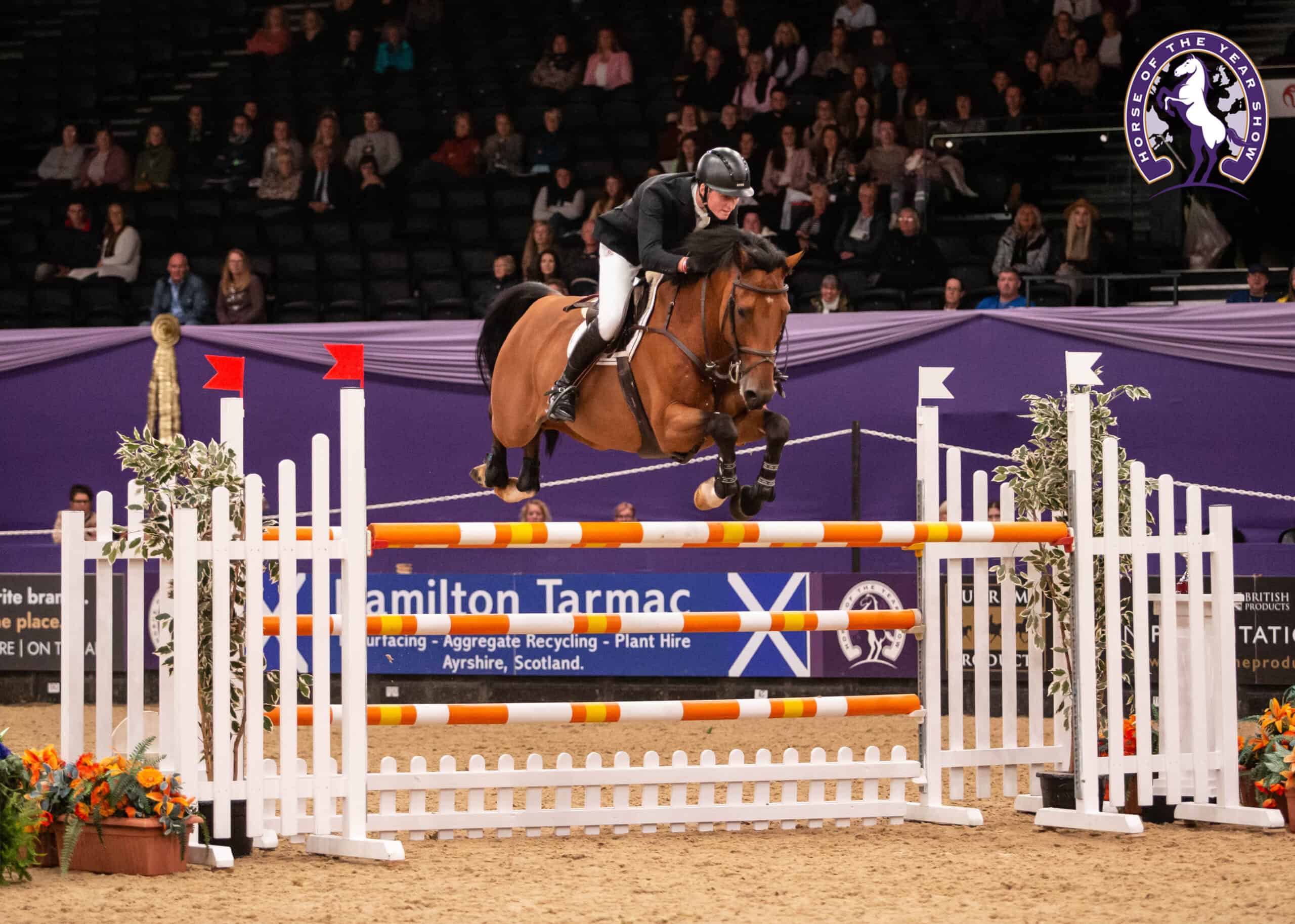 Robert Murphy wins with a lightning quick round! - Horse of the Year Show