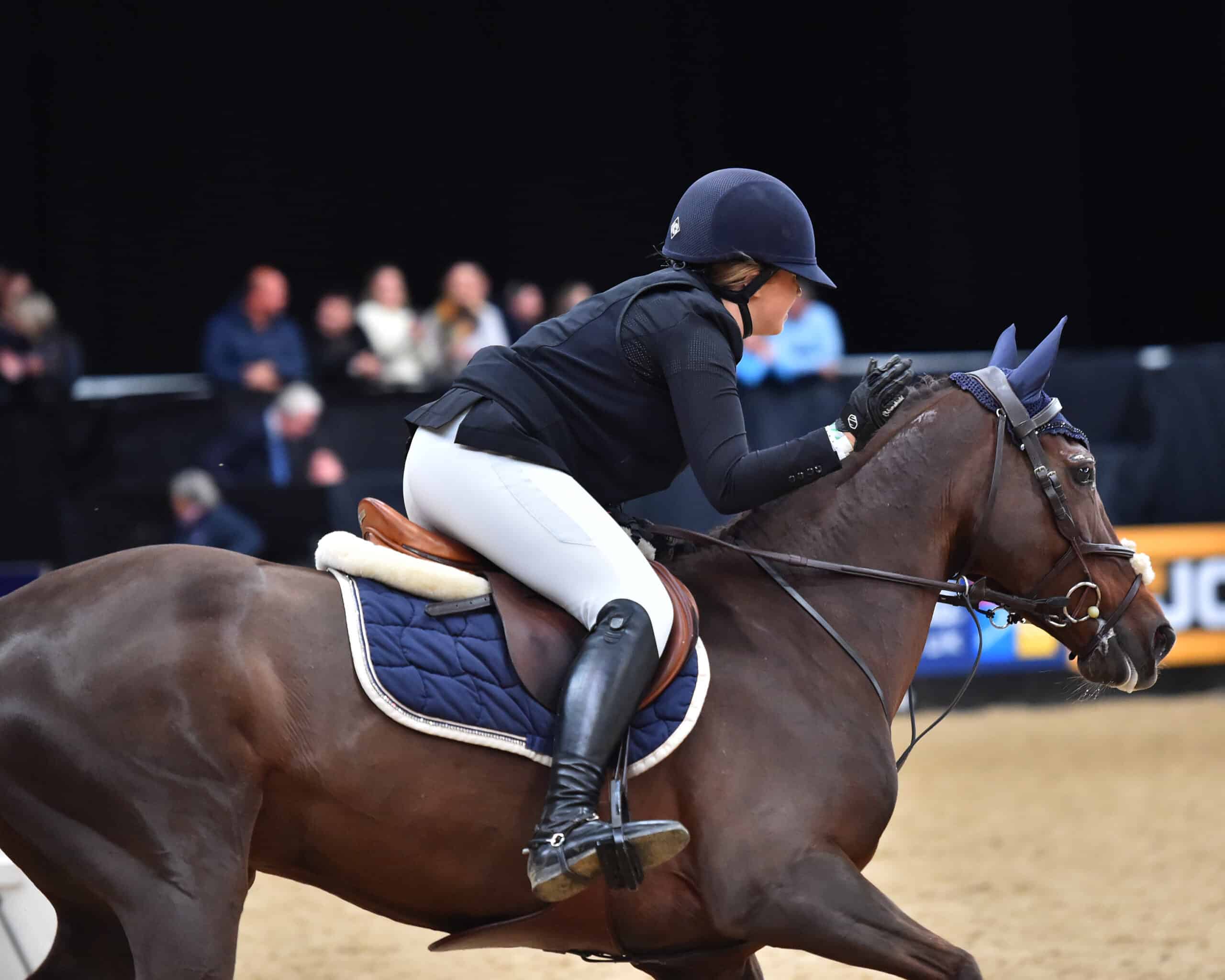 Scintillating Pony Performances On Day Two Of Horse Of The Year Show 