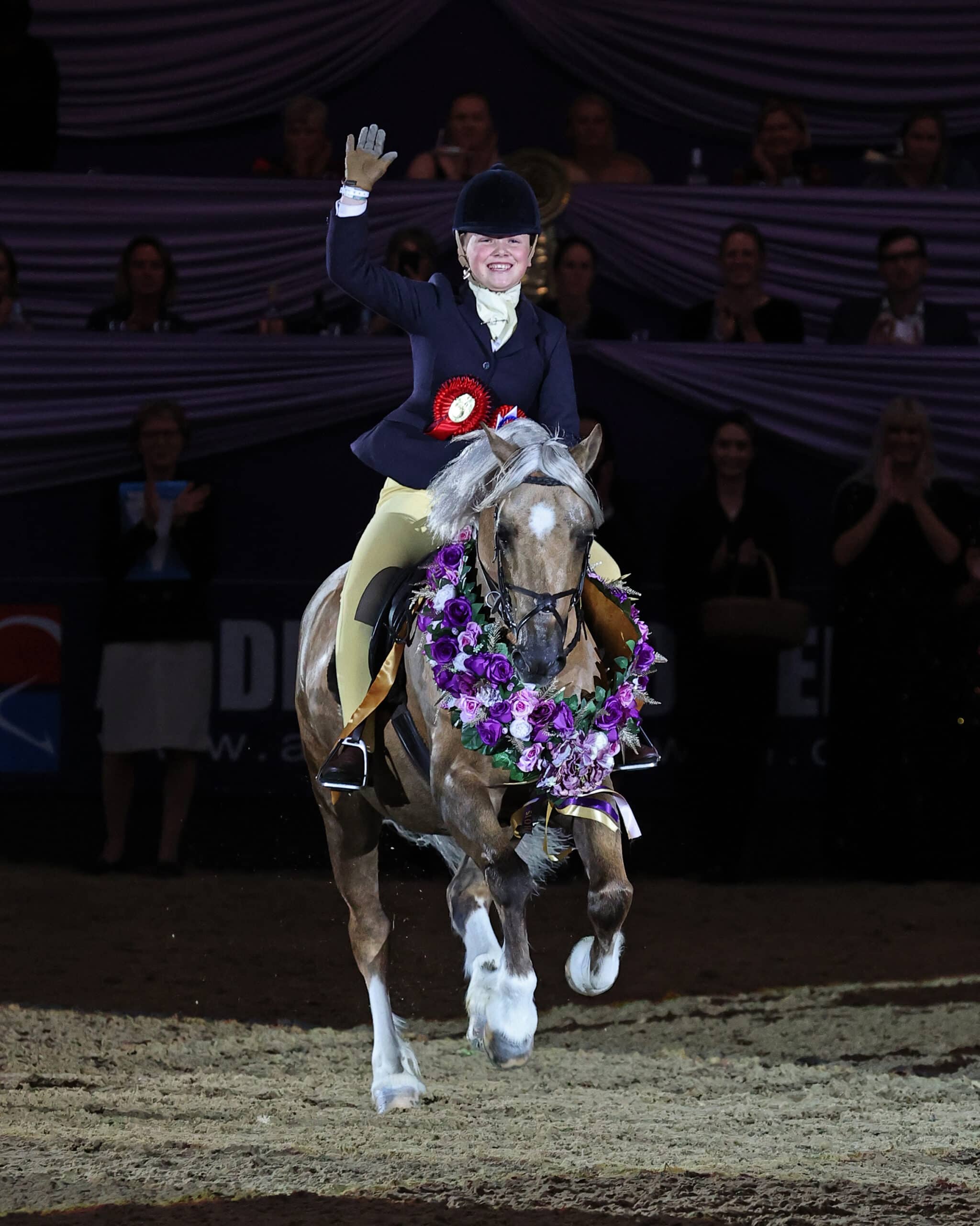 showing-round-up-thursday-6-october-daytime-horse-of-the-year-show