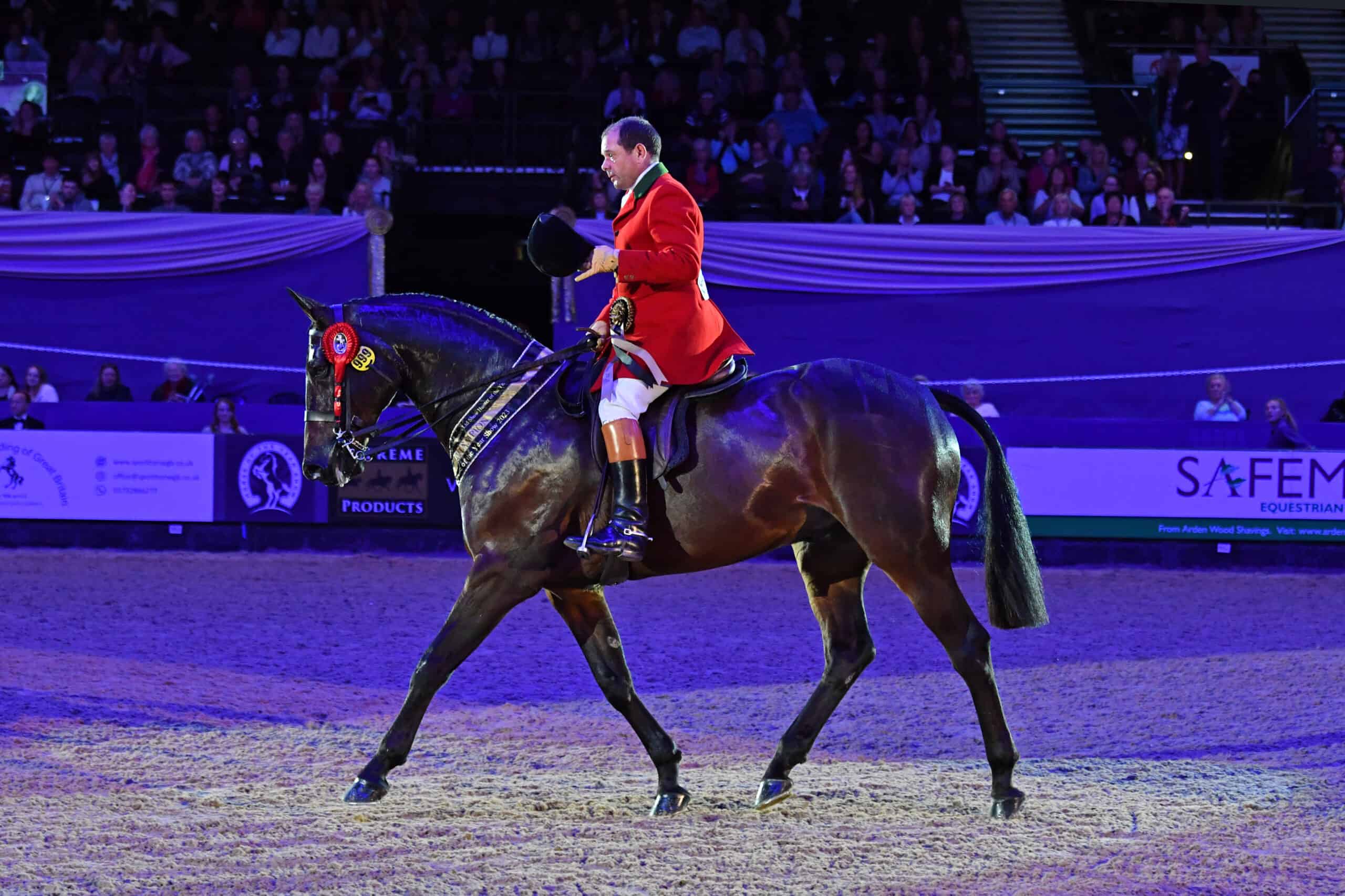 History Made On The Third Evening Of Horse Of The Year Show Horse Of 